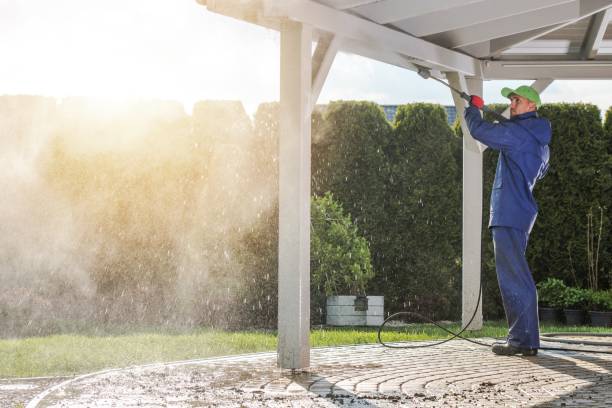Trusted Brownlee Park, MI Pressure Washing Services Experts